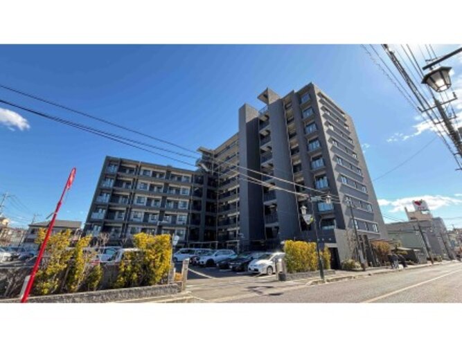 :2025年3月撮影 :2025年3月撮影