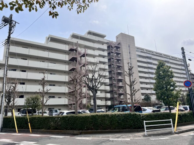 コスモ蕨 コスモ蕨