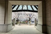 エントランス:春には街路樹の桜が満開になり、四季を感じられる風景が楽しめます(2024年4月撮影) エントランス:春には街路樹の桜が満開になり、四季を感じられる風景が楽しめます(2024年4月撮影)