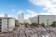住戸からの眺望写真