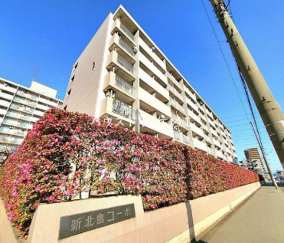 新北島コーポ3号棟 新北島コーポ3号棟