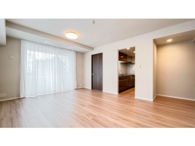 :2023年11月撮影 :2023年11月撮影