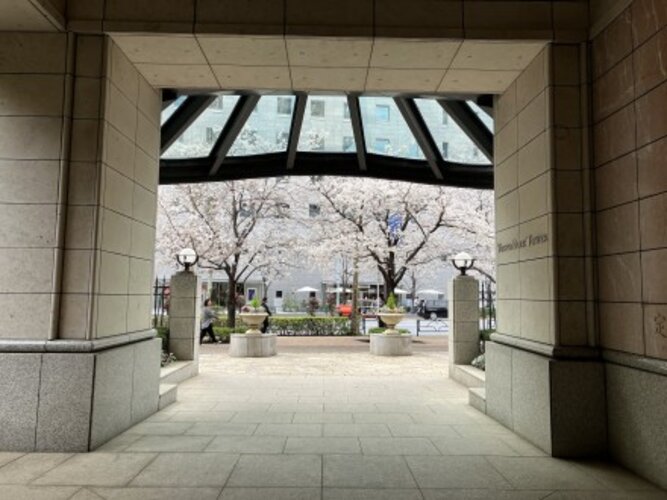 エントランス:春には街路樹の桜が満開になり、四季を感じられる風景が楽しめます(2024年4月撮影) エントランス:春には街路樹の桜が満開になり、四季を感じられる風景が楽しめます(2024年4月撮影)