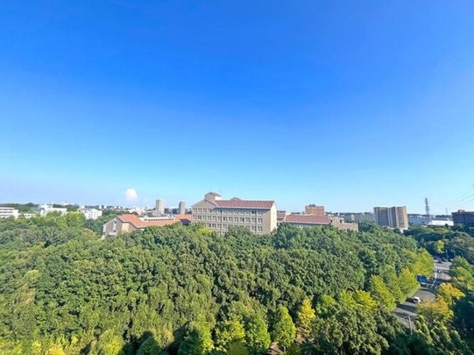 住戸からの眺望写真