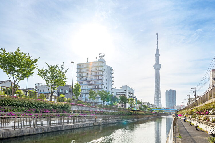 マンションのそばを流れる北十間川から撮影した物件と東京スカイツリーの様子です。凛とした空気が流れ込み、デジタルには語りきれない感覚を研ぎ澄ませる安らぎある住環境です。 マンションのそばを流れる北十間川から撮影した物件と東京スカイツリーの様子です。凛とした空気が流れ込み、デジタルには語りきれない感覚を研ぎ澄ませる安らぎある住環境です。