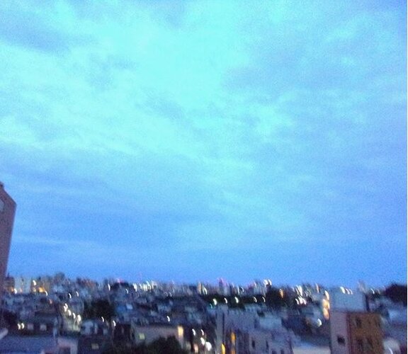 住戸からの眺望写真