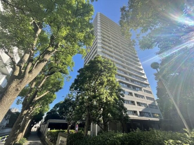 現地外観写真 現地外観写真