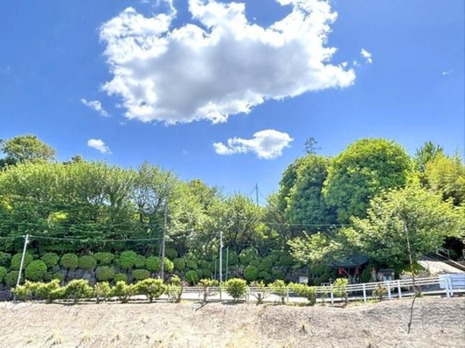 住戸からの眺望写真