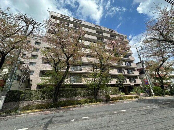 現地外観写真 現地外観写真