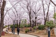 その他環境写真