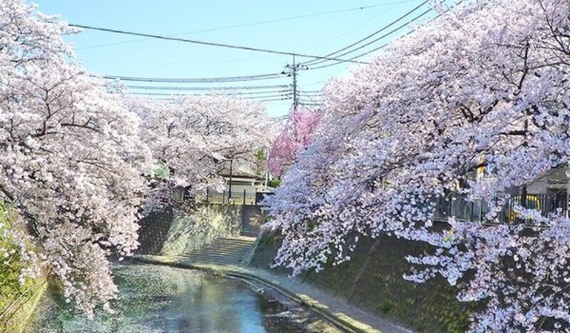 その他環境写真