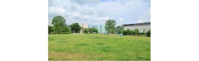 公園