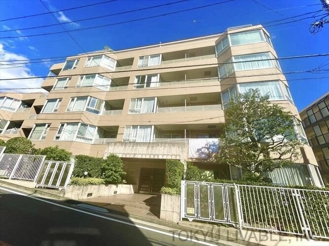 外観 外観