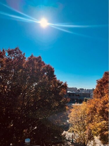 住戸からの眺望写真