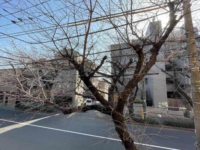 ワンシーンを切り取った写真のような眺望。窓からの景色が良いと家で過ごす時間も快適です。