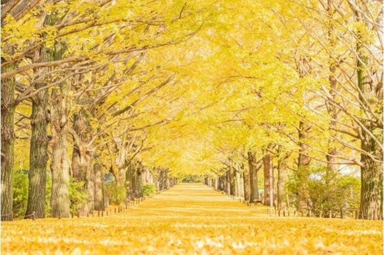 その他環境写真