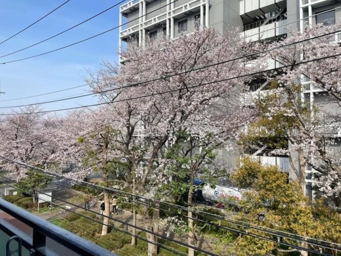 住戸からの眺望写真