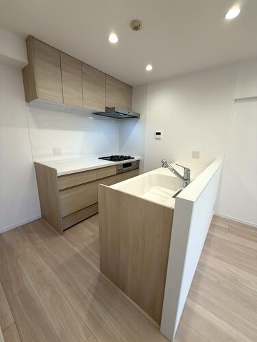 システムキッチン　＊食器洗い乾燥機・浄水器一体型水栓付き＊