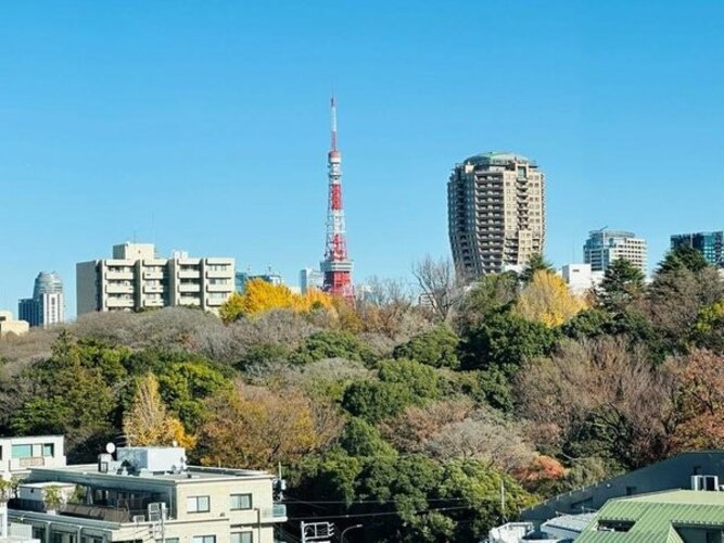 住戸からの眺望写真