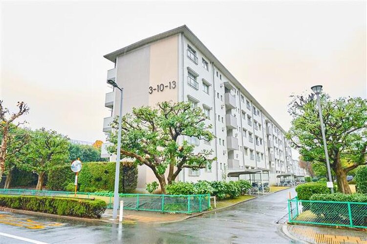 多彩な樹木と豊かな彩りが重なり、四季折々の変化を楽しめる心地よい場所となりそうです。 多彩な樹木と豊かな彩りが重なり、四季折々の変化を楽しめる心地よい場所となりそうです。