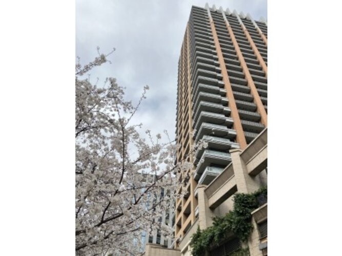 外観:神保町駅入口や、スーパーなど利便施設が足元に揃うタワーマンション(2024年4月撮影) 外観:神保町駅入口や、スーパーなど利便施設が足元に揃うタワーマンション(2024年4月撮影)