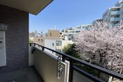 春の時期には目前に広がる桜の彩りが楽しめます。
