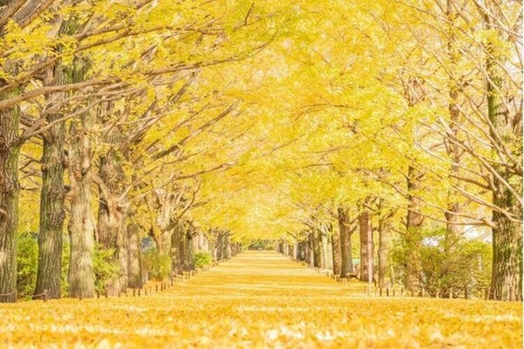 その他環境写真 その他環境写真
