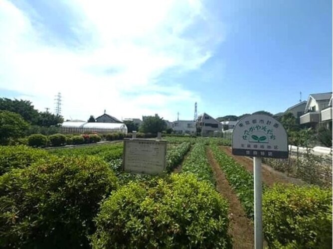 その他現地