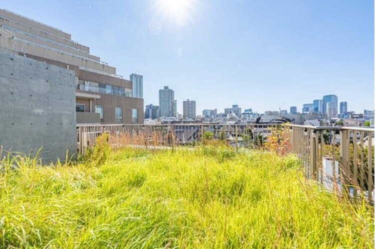 住戸からの眺望写真