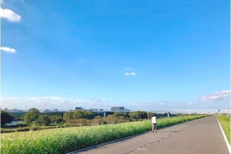 その他環境写真