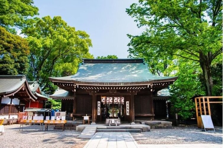 その他環境写真