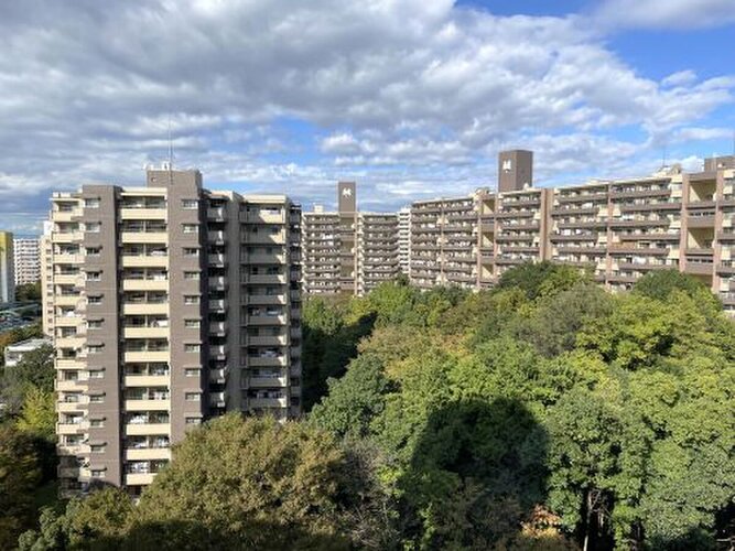 南向きにつき陽当り・通風良好 南向きにつき陽当り・通風良好