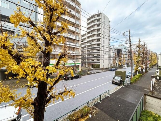 住戸からの眺望写真