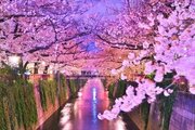 その他環境写真 その他環境写真