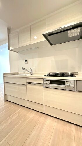 キッチン　＊食器洗い乾燥機・浄水器一体型水栓付き＊