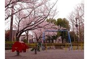 その他環境写真