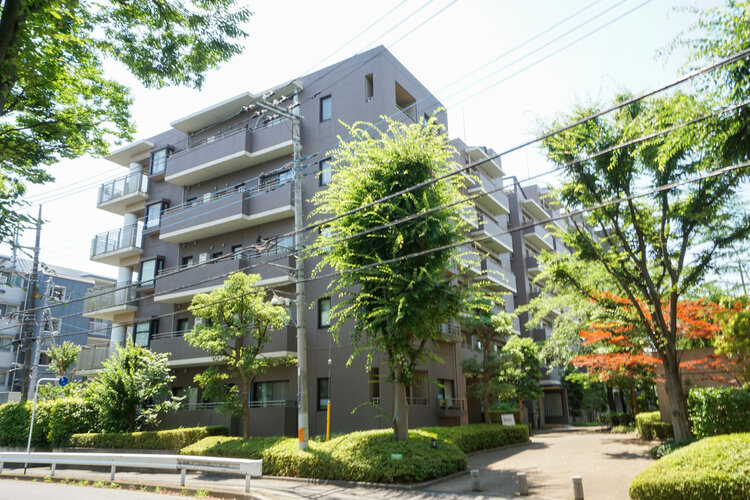 鮮やかな緑を効果的に纏った外観。爽やかな風がそよぐ心温まるお部屋へ優しく誘います。