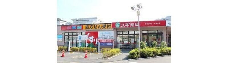 ドラッグストア ドラッグストア