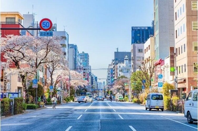 その他環境写真