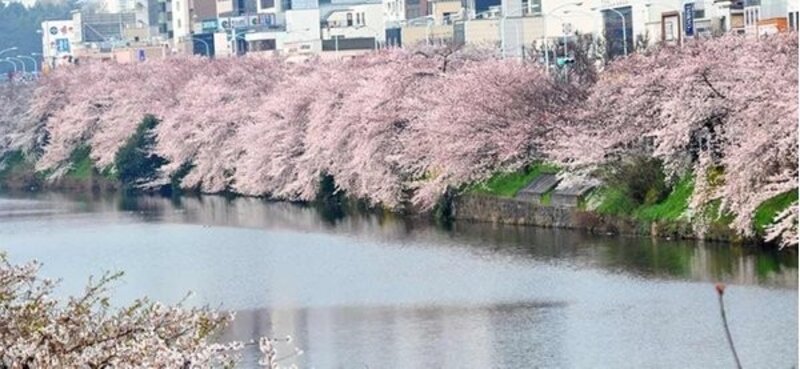 その他環境写真 その他環境写真