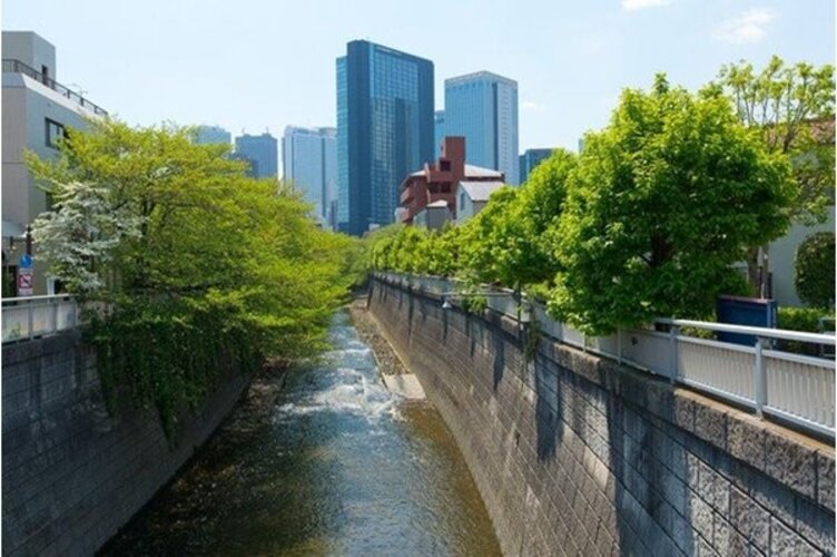 その他環境写真