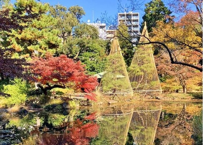 公園 公園