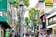 その他環境写真