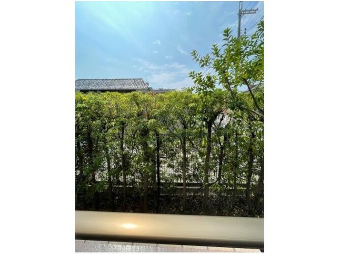 一階でも植栽で視界も気になりません。