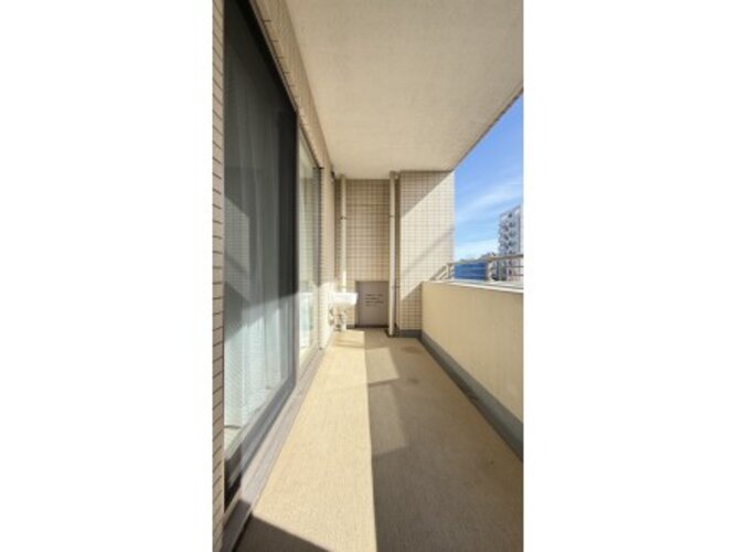 ：2025年3月撮影
