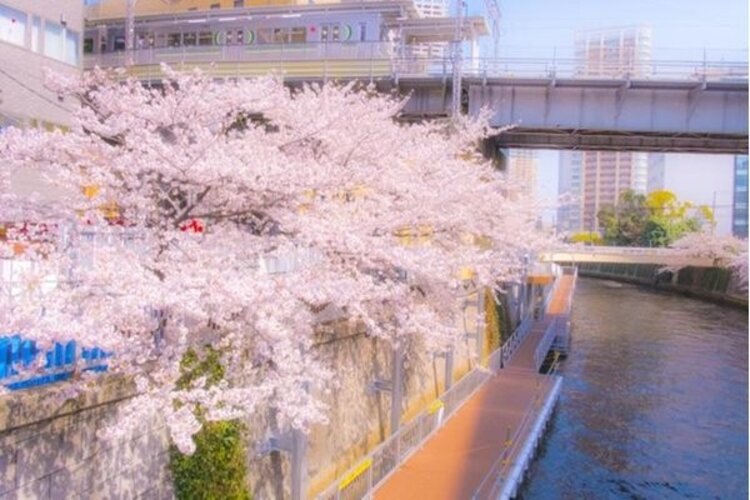 その他環境写真