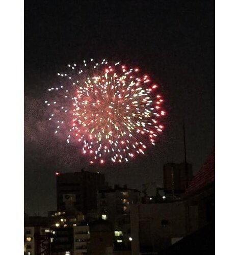 その他現地 その他現地