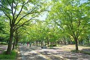 その他環境写真