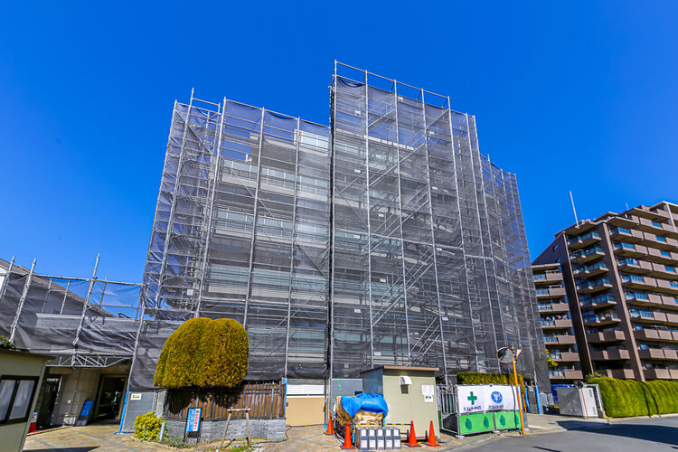 多摩川近くの平成20年築マンション。喉かな環境をペットと一緒に。 多摩川近くの平成20年築マンション。喉かな環境をペットと一緒に。