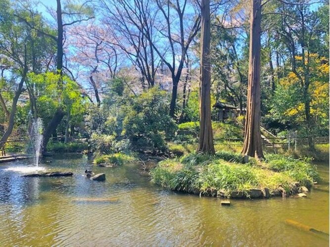 その他環境写真